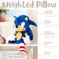 thumbnail image 4 of Weighted 3lb. Licensed Character Plush Pillow, 4 of 8
