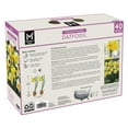 thumbnail image 2 of Member's Mark Daffodil Mix Dormant Bulbs, 40pk, 2 of 9