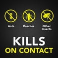 thumbnail image 4 of Raid® 3 Pack: Raid® Ant & Roach Killer 26 Outdoor Fresh 17.5oz, Raid® Wasp & Hornet Killer 33 17.5oz, Raid ® Multi Insect Killer 7 15oz, 4 of 8