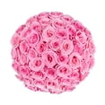 thumbnail image 1 of Member's Mark Roses, choose color and stem count, 1 of 8