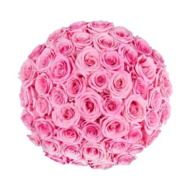 Member's Mark Roses, choose color and stem count