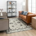 thumbnail image 1 of Mohawk Home Demeter Woven Area Rug, Light Grey, Assorted Sizes, 1 of 9