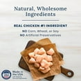 thumbnail image 2 of Blue Buffalo Nudges Homestyle Chicken, Peas, and Carrots Natural Dog Treats, 40 oz., 2 of 7