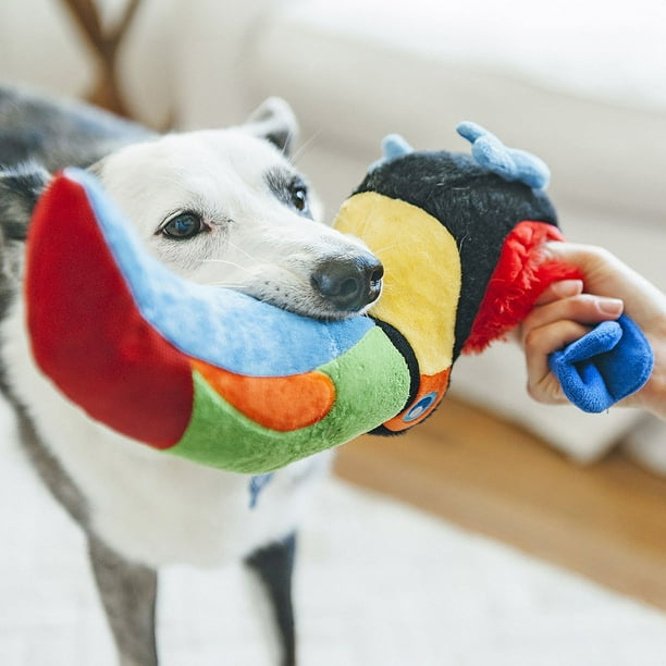 Paradise Paws Dog Toy Bundle,