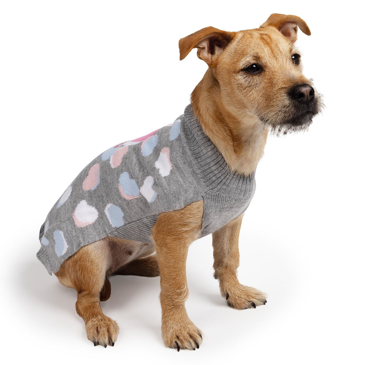 Free Country Valentine Doggy Sweater - Samsclub.com