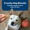 thumbnail image 5 of Blue Buffalo Health Bars Bacon, Egg, & Cheese Crunchy Dog Treats, 5 lbs., 5 of 9
