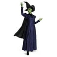 thumbnail image 1 of Wicked Elphaba Adult Deluxe Costume, 1 of 8