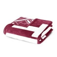 thumbnail image 5 of Logo Brands Texas Southern Tigers 60"x70" Super Plush Blanket, 5 of 6