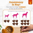 thumbnail image 6 of Zesty Paws Flea & Tick Kit Bites for Dogs, to Repel, Control, and Prevent Fleas & Ticks, 160ct Bites, 6 of 6