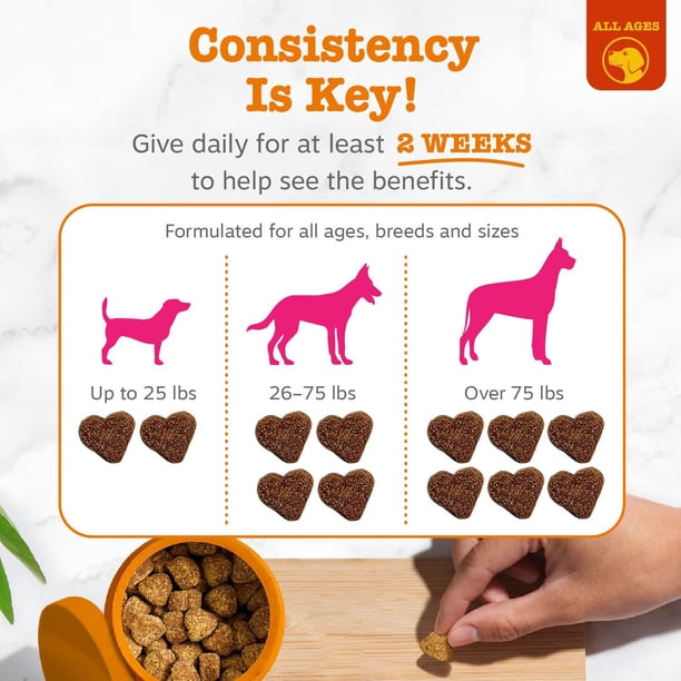 Zesty Paws Flea & Tick Kit for Dogs, to Repel, Control, and