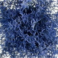 thumbnail image 2 of Member's Mark Limonium, 15 bunches, Choose color, 2 of 2