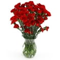 thumbnail image 5 of Member's Mark Mini Carnations, Choose color and stem count, 5 of 5