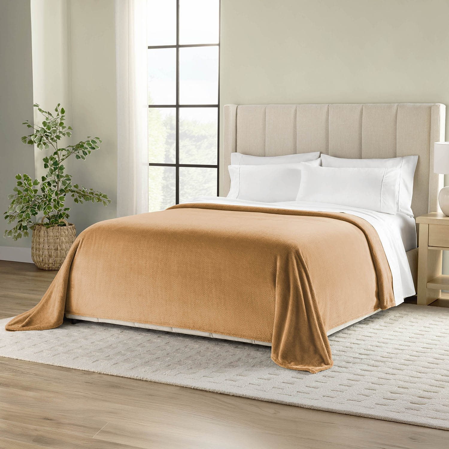 Member's Mark Oversized Cloud Touch Blanket - Samsclub.com