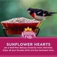 thumbnail image 5 of Audubon Park Sunflower Hearts Wild Bird Food, 15 lb. Bag, 5 of 9