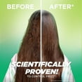 thumbnail image 5 of Garnier Fructis Sleek & Shine Smoothing Conditioner, 40 fl. oz., 5 of 13