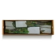 thumbnail image 4 of Member's Mark Ecuadorian Premium Roses, choose color variety and stem count, 4 of 6