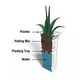 thumbnail image 5 of Mayne Cranbrook 32" Tall Planter, 5 of 7