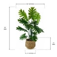 thumbnail image 5 of Artificial 54" Philo in Handwoven Basket - Natural or Bi-Color Baskets, 5 of 5