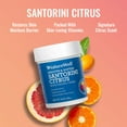 thumbnail image 2 of NatureWell Santorini Citrus Moisturizing Cream, 16 oz., 2 pk., 2 of 7