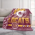 thumbnail image 2 of Logo Brands Bethune-Cookman Wildcats 60"x70" Super Plush Blanket, 2 of 7