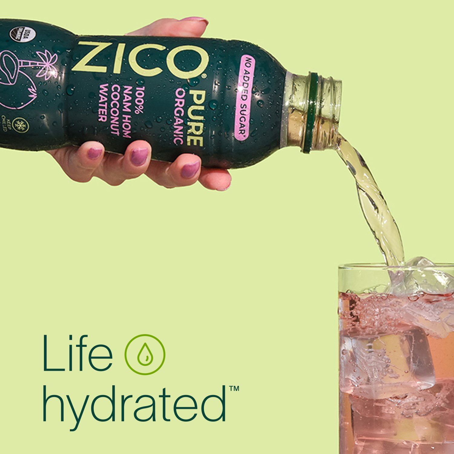 Zico Pure Organic Coconut Water, 13.5 fl. oz., 6 pk. - Samsclub.com