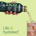 thumbnail image 4 of Zico Pure Organic Coconut Water, 13.5 fl. oz., 6 pk., 4 of 5