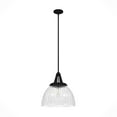 thumbnail image 2 of Hunter Cypress Grove with Clear Holophane Glass 1 Light Pendant Ceiling Light Fixture, 2 of 8