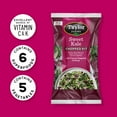 thumbnail image 4 of Taylor Farms Sweet Kale Chopped Salad Kit, 12 oz., 4 of 6