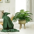 thumbnail image 5 of Faux 32" Phoenix Palm in Tri-Colored Tripod Basket Stand, 5 of 6