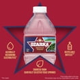 thumbnail image 4 of Ozarka 100% Natural Spring Water 16.9 fl. oz., 40 pk., 4 of 9