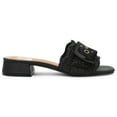 thumbnail image 2 of DV by Dolce Vita Women's Raffia Sandal, 2 of 7