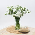 thumbnail image 4 of Member's Mark Mini Carnation, Assorted, 20 stems, 4 of 5