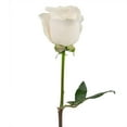 thumbnail image 4 of Member's Mark Ecuadorian Premium Roses, choose color variety and stem count, 4 of 8