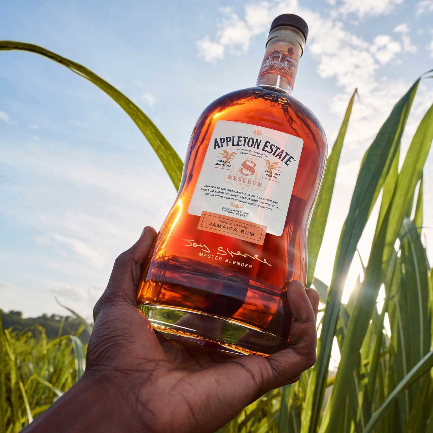 APPLETON ESTATE（アプルトン エステート）ジャマイカ ラム エクストラ 