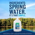 thumbnail image 3 of Ice Mountain 100% Natural Spring Water 1 gal., 6 pk., 3 of 11