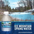 thumbnail image 4 of Ice Mountain 100% Natural Spring Water 8 fl. oz., 48 pk., 4 of 10