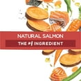 thumbnail image 3 of Purina Beneful Originals, Natural Salmon Dog Food, Dry Formula, 36 lbs., 3 of 12