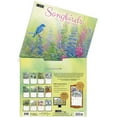 thumbnail image 4 of Songbirds 2026 Wall Calendar, 4 of 7