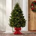 thumbnail image 1 of Member's Mark 48" Pre-Lit Topiary in Red Bow Container, 1 of 5