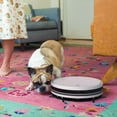 thumbnail image 3 of bObsweep Charlotte Robot Vacuum and Mop with Straight Line Navigation, 3 of 6