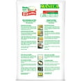thumbnail image 3 of Maseca Instant Corn Masa Mix (4.4 lbs.), 3 of 4