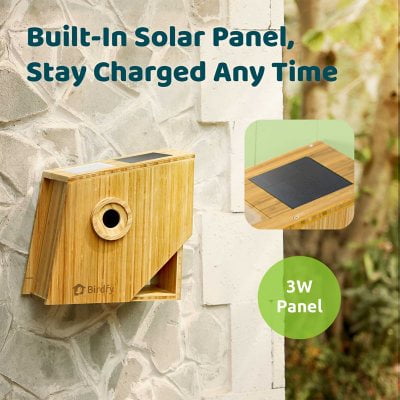 Birdfy Smart Bird House with Solar Powered AI Camera