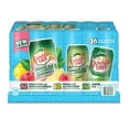thumbnail image 4 of Canada Dry Ginger Ale Summer Variety Pack 12 fl. oz., 36 pk., 4 of 4