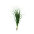 thumbnail image 4 of Member's Mark Western Greens Mix 5 bunches, 4 of 4