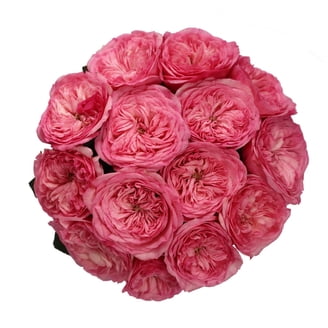 Member's Mark Preserved Rose LOVE Display Box - Samsclub.com