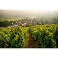 thumbnail image 3 of Boizel Brut Reservé NV Champagne, 750 ml, 3 of 5