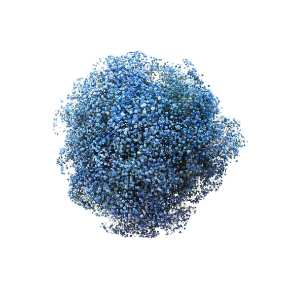 Member's Mark Enhanced Gypsophila, choose color and stem count