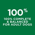 thumbnail image 7 of Purina Dog Chow Complete Adult Chicken Dry Dog Food (57 lbs.), 7 of 9
