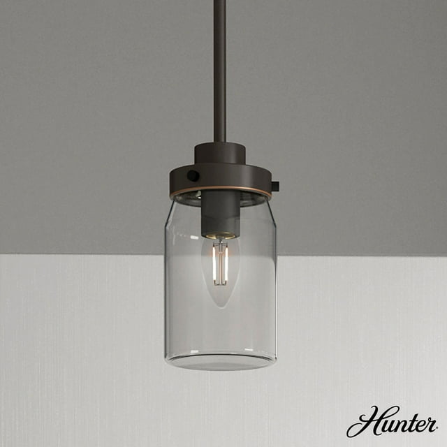 Hunter Devon Park with Clear Glass Pendant Ceiling Light Fixture