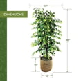 thumbnail image 4 of Artificial 6.5' Ficus Tree in a Handwoven Handled Basket, 4 of 4